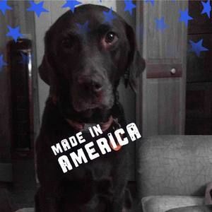 Meet your Posher, Gregory